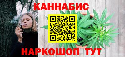 МДПВ Моздок