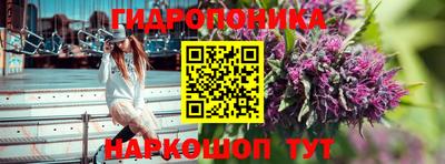 ГАЛЛЮЦИНОГЕННЫЕ ГРИБЫ Можга