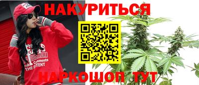 Альфа ПВП Можайск