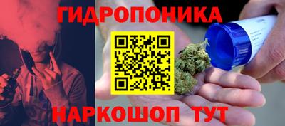 Альфа ПВП Можайск