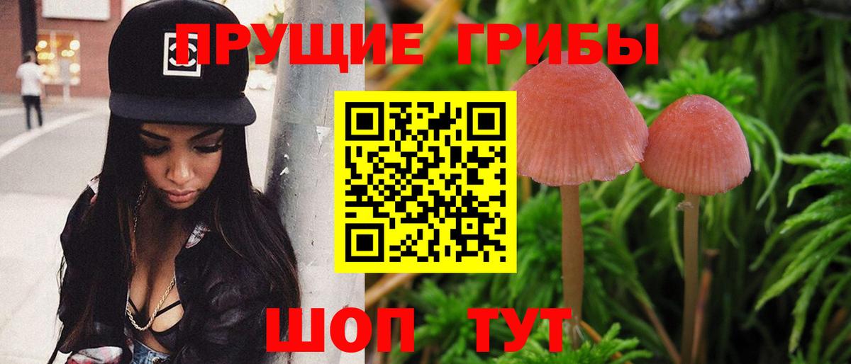 Галлюциногенные грибы мицелий  хочу наркоту  Феодосия  Вход с VPN  Галлюциногенные грибы мухоморы 